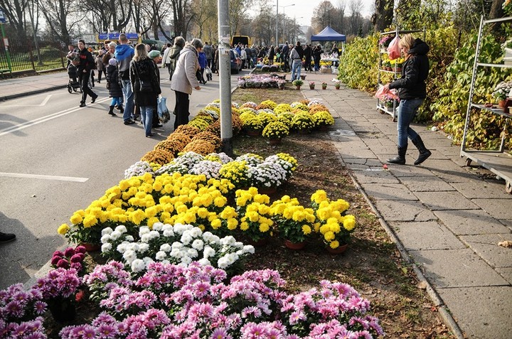 Tłumy na cmentarzach zdjęcie nr 78076