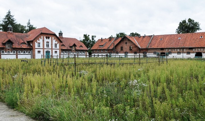 Stadnina w Kadynach zdjęcie nr 78522