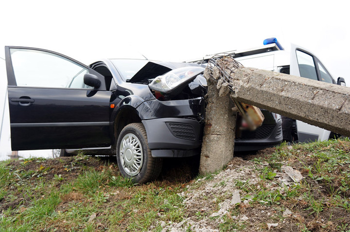 Fiestą w słup zdjęcie nr 78856