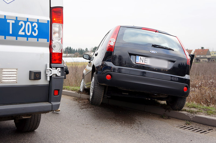 Fiestą w słup zdjęcie nr 78853