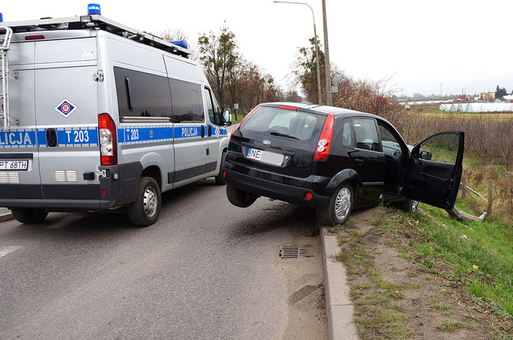 Fiestą w słup zdjęcie nr 78852