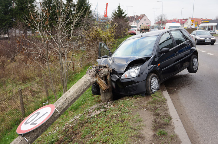 Fiestą w słup zdjęcie nr 78850