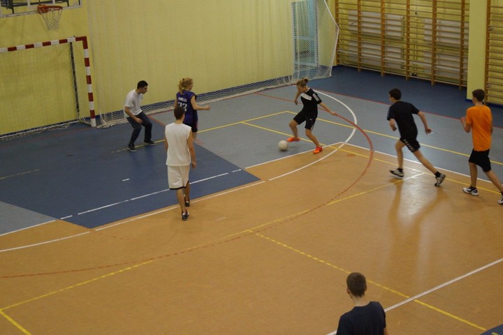 Eko-Puzzle. Spotkanie młodzieży z Powiatu Elbląskiego i Powiatu Steinburg zdjęcie nr 79137