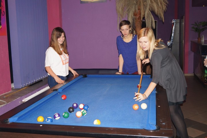 Eko-Puzzle. Spotkanie młodzieży z Powiatu Elbląskiego i Powiatu Steinburg zdjęcie nr 79142