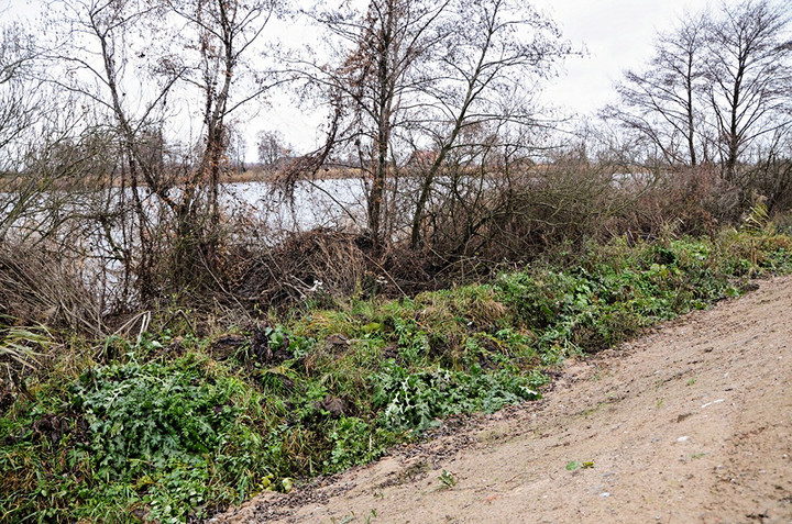 Teraz woda jest spokojna, gorzej będzie w sobotę zdjęcie nr 79574