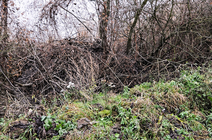 Teraz woda jest spokojna, gorzej będzie w sobotę zdjęcie nr 79575