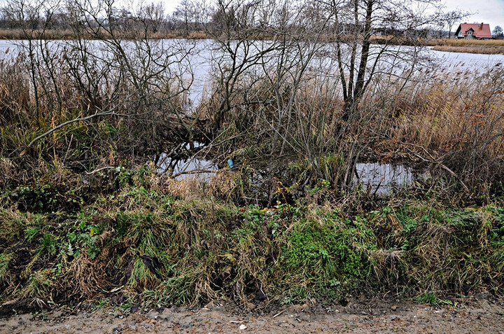 Teraz woda jest spokojna, gorzej będzie w sobotę zdjęcie nr 79572