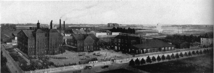 Dawno temu w Elblągu... zdjęcie nr 79857