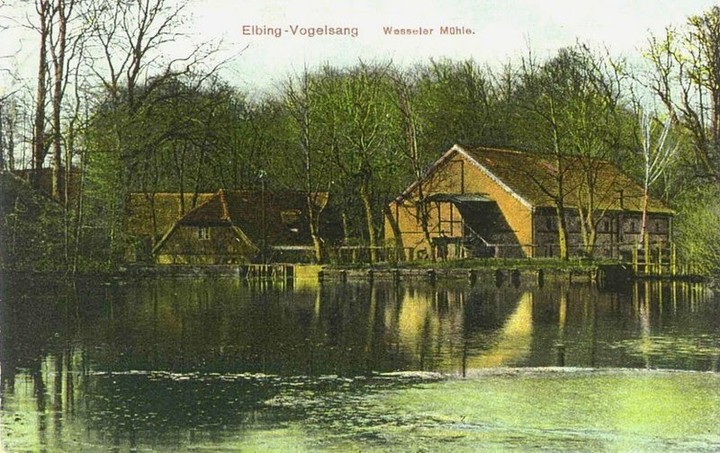 Dawno temu w Elblągu... zdjęcie nr 79892