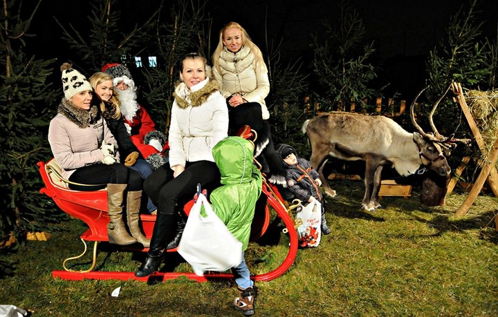 Rudolf i Profesor z wizytą u przedszkolaków zdjęcie nr 80036