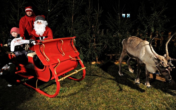 Rudolf i Profesor z wizytą u przedszkolaków zdjęcie nr 80020