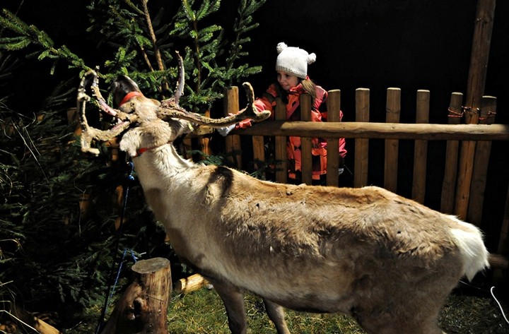 Rudolf i Profesor z wizytą u przedszkolaków zdjęcie nr 79992