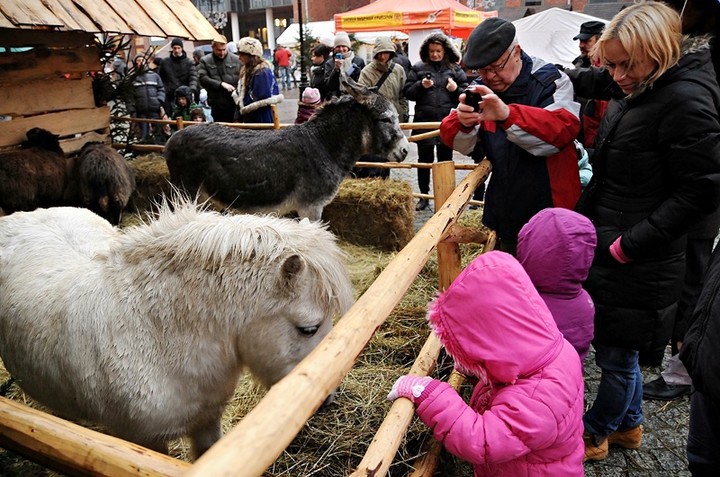 Bez śniegu, a jednak świątecznie zdjęcie nr 80071