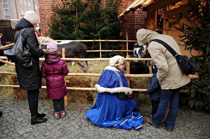 Bez śniegu, a jednak świątecznie zdjęcie nr 80070