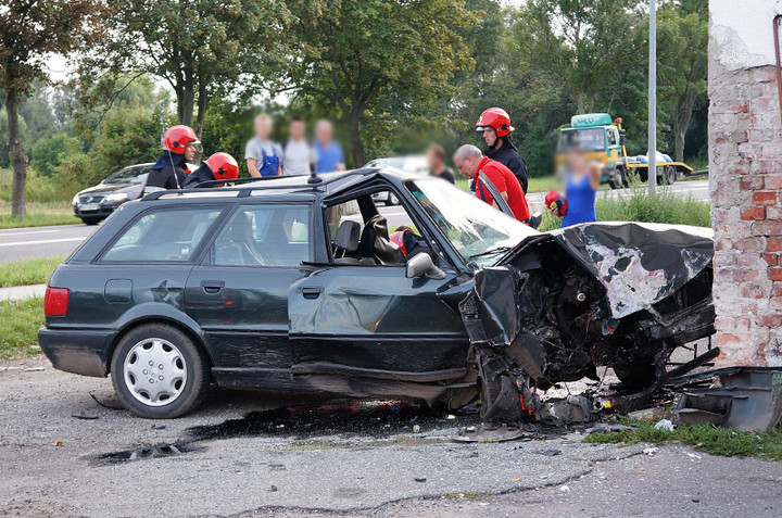 Rok 2013 w obiektywie Witka Sadowskiego zdjęcie nr 80456