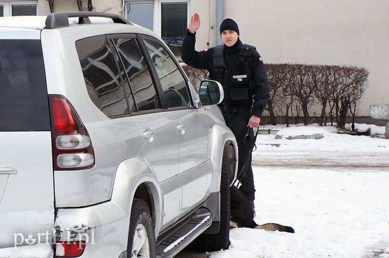 Mają nosa do przestępców. Mają też ostre zęby i silne łapy zdjęcie nr 81423