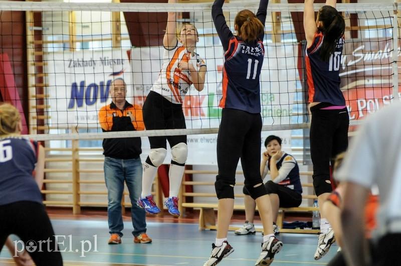 Dobra passa Orła trwa zdjęcie nr 81868