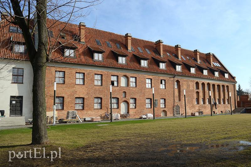 Nowych eksponatów nie wykopią, ale... zdjęcie nr 82229