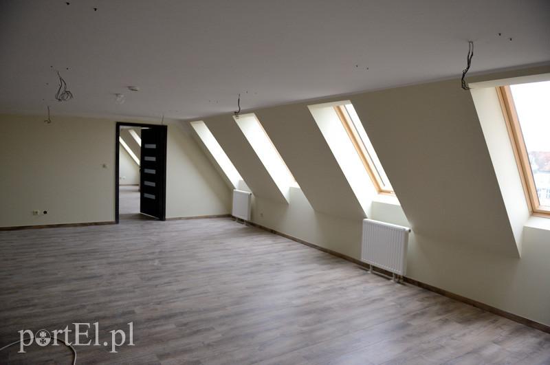 Nowych eksponatów nie wykopią, ale... zdjęcie nr 82234