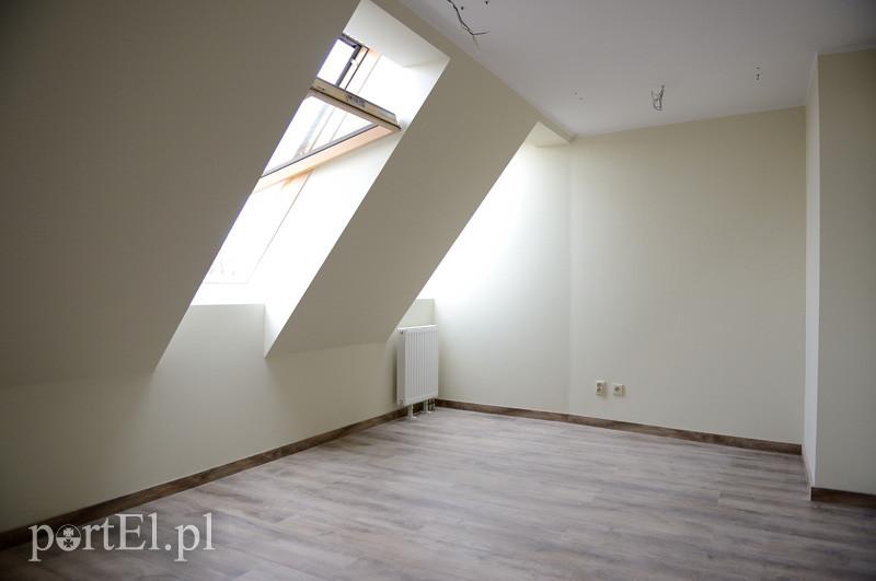 Nowych eksponatów nie wykopią, ale... zdjęcie nr 82233