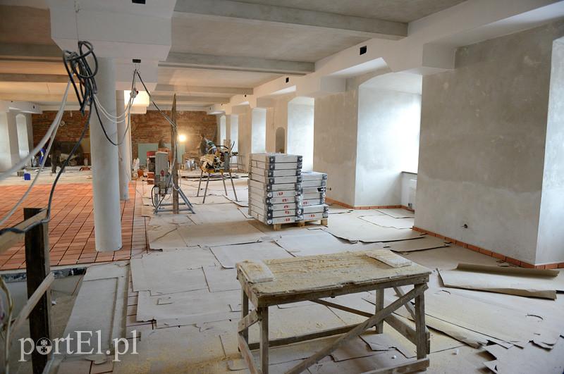 Nowych eksponatów nie wykopią, ale... zdjęcie nr 82241