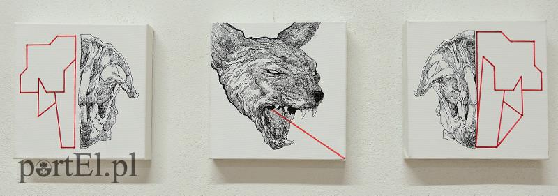 Miniesz, a więc to jest piękne zdjęcie nr 82282