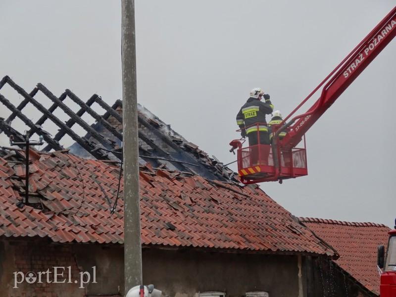 Pożar w Suchaczu zdjęcie nr 82421