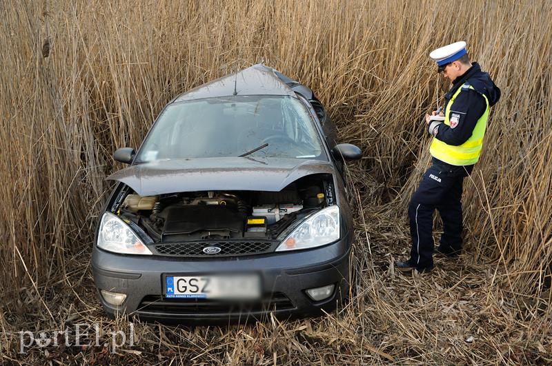 Karczowiska Górne: fordem w drzewo zdjęcie nr 82774