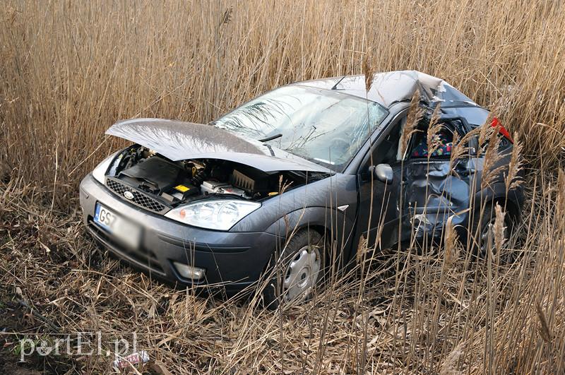 Karczowiska Górne: fordem w drzewo zdjęcie nr 82767