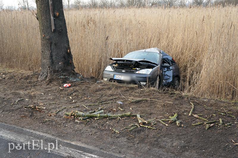 Karczowiska Górne: fordem w drzewo zdjęcie nr 82781