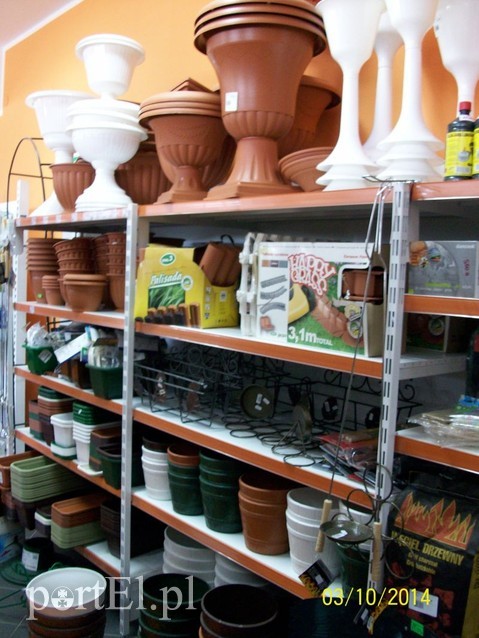 Najlepsze ceny na wiosnę zdjęcie nr 84166