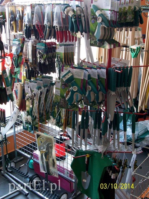 Najlepsze ceny na wiosnę zdjęcie nr 84151