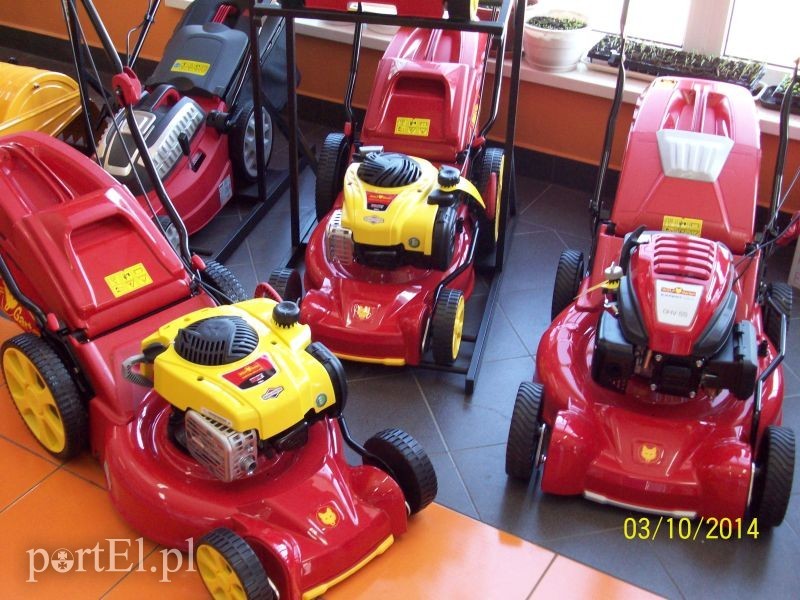 Najlepsze ceny na wiosnę zdjęcie nr 84158