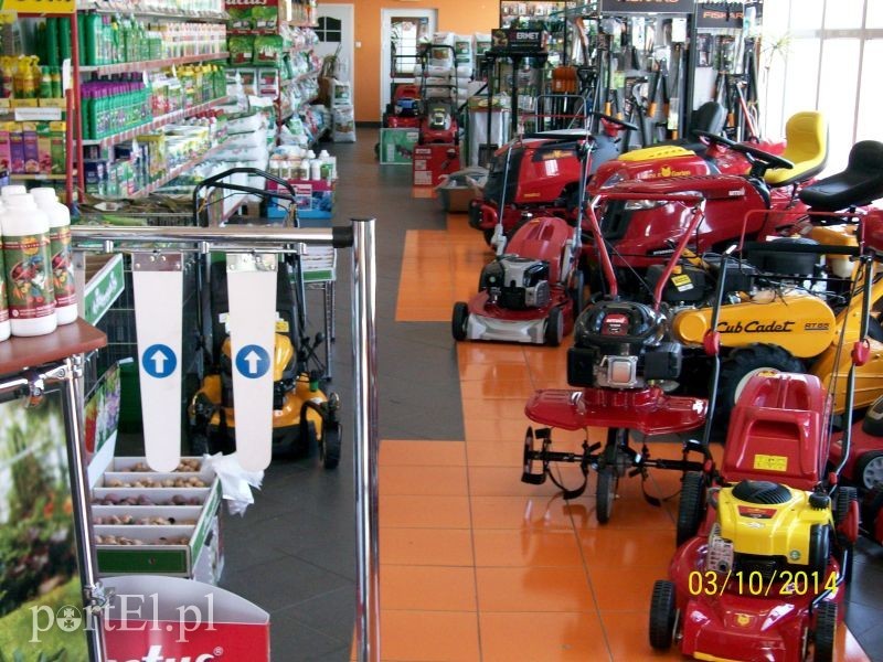 Elbląg Najlepsze ceny na wiosnę