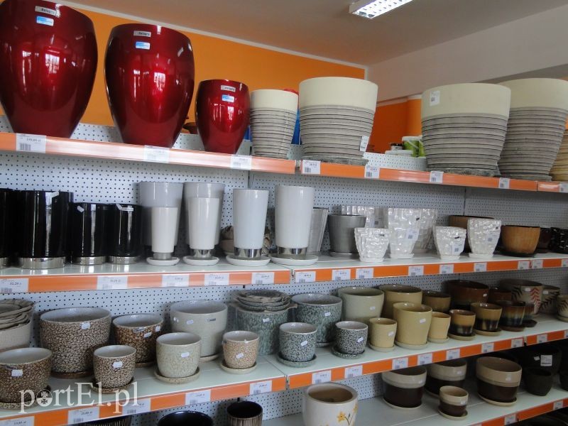 Najlepsze ceny na wiosnę zdjęcie nr 84156