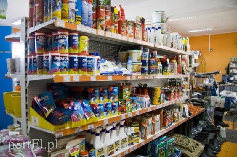 Najlepsze ceny na wiosnę zdjęcie nr 84163