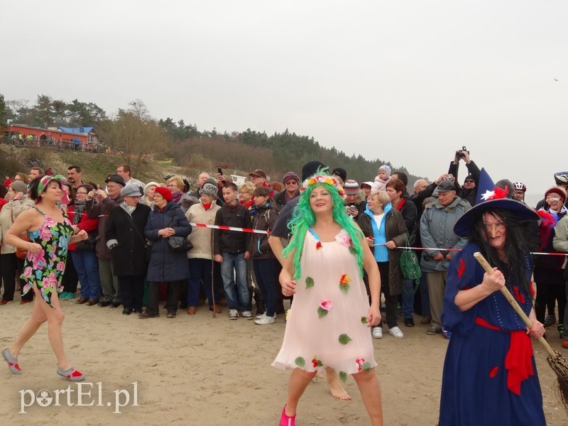 Elbląskie morsy w Stegnie zdjęcie nr 84798