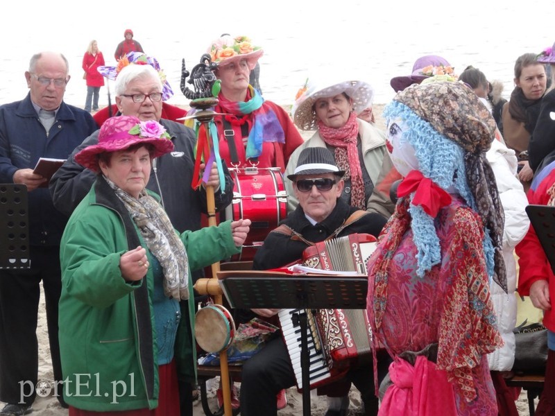 Elbląskie morsy w Stegnie zdjęcie nr 84817