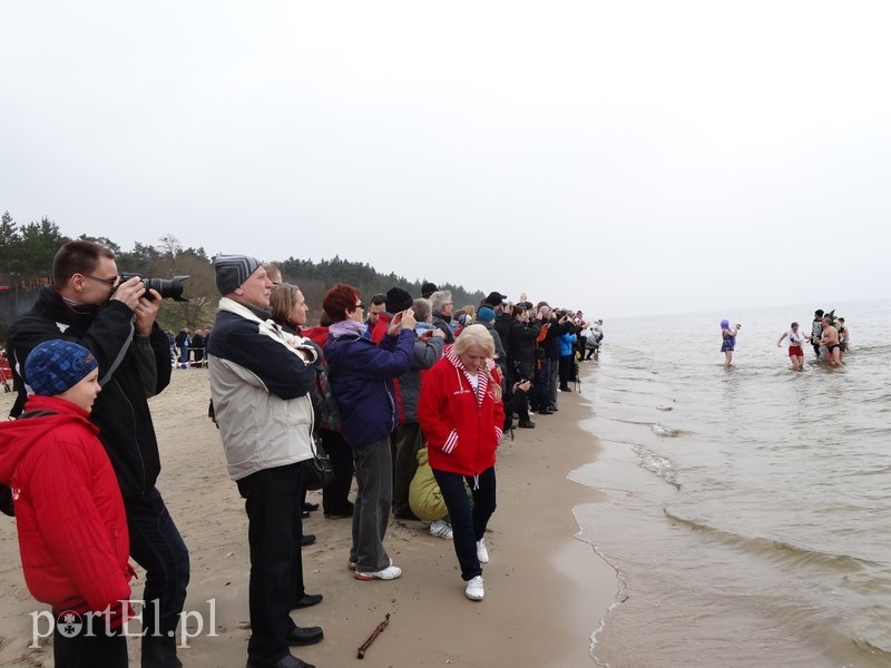 Elbląskie morsy w Stegnie zdjęcie nr 84807