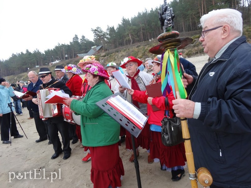 Elbląskie morsy w Stegnie zdjęcie nr 84813