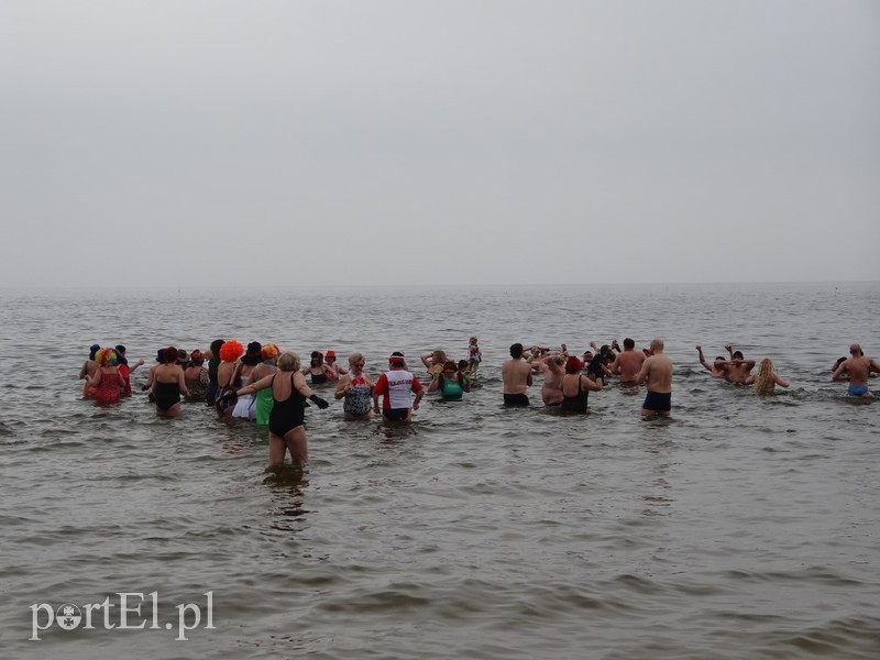 Elbląskie morsy w Stegnie zdjęcie nr 84808