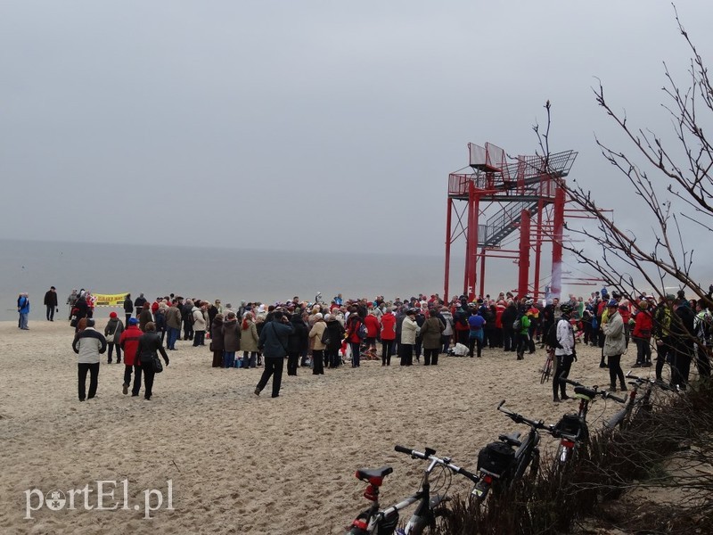 Elbląg Elbląskie morsy w Stegnie