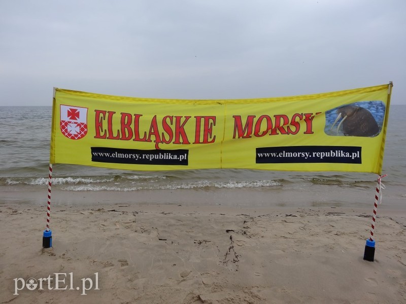 Elbląskie morsy w Stegnie zdjęcie nr 84795