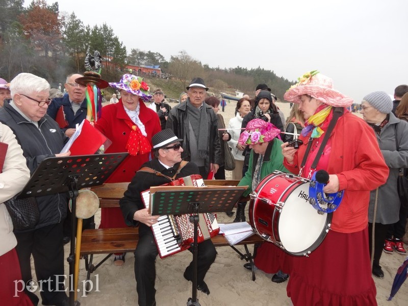 Elbląskie morsy w Stegnie zdjęcie nr 84797