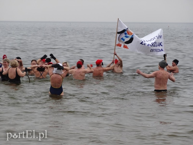 Elbląskie morsy w Stegnie zdjęcie nr 84810