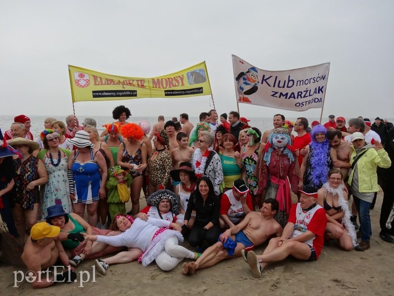 Elbląskie morsy w Stegnie zdjęcie nr 84804