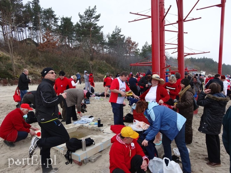 Elbląskie morsy w Stegnie zdjęcie nr 84816