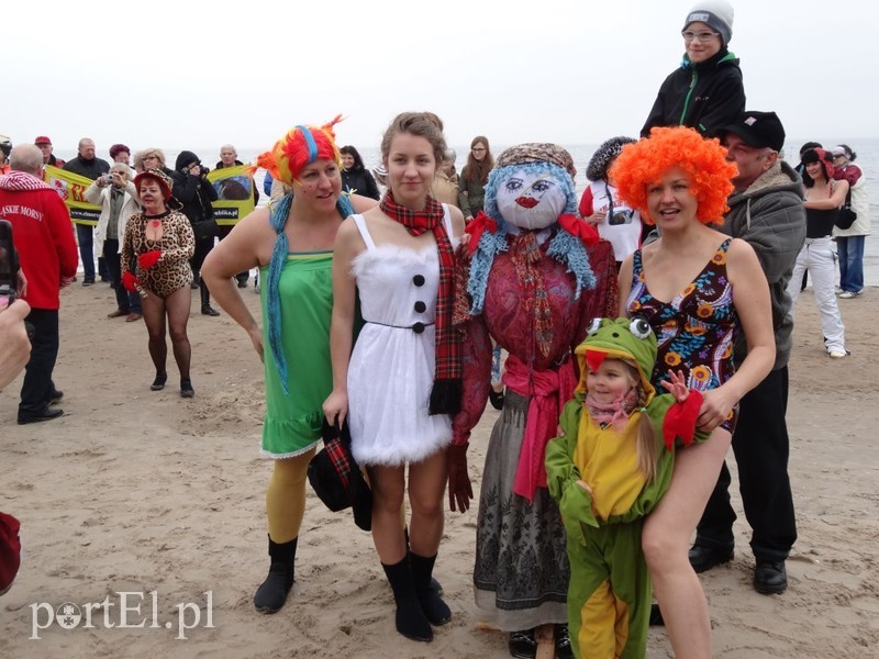 Elbląskie morsy w Stegnie zdjęcie nr 84800