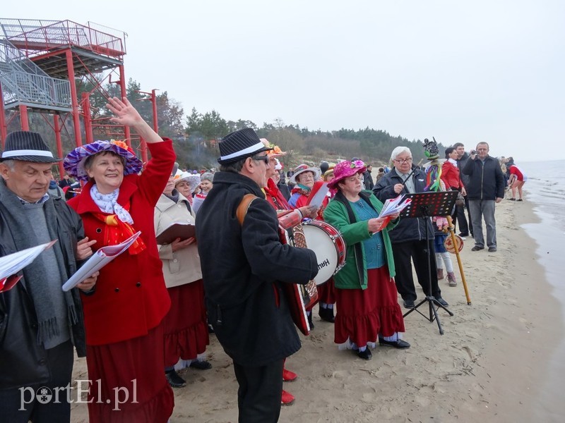 Elbląskie morsy w Stegnie zdjęcie nr 84812