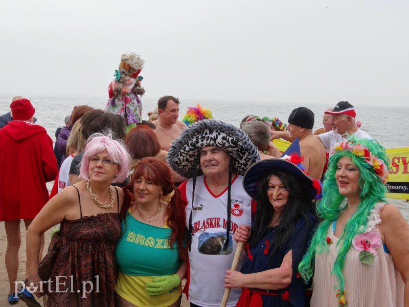 Elbląskie morsy w Stegnie zdjęcie nr 84806